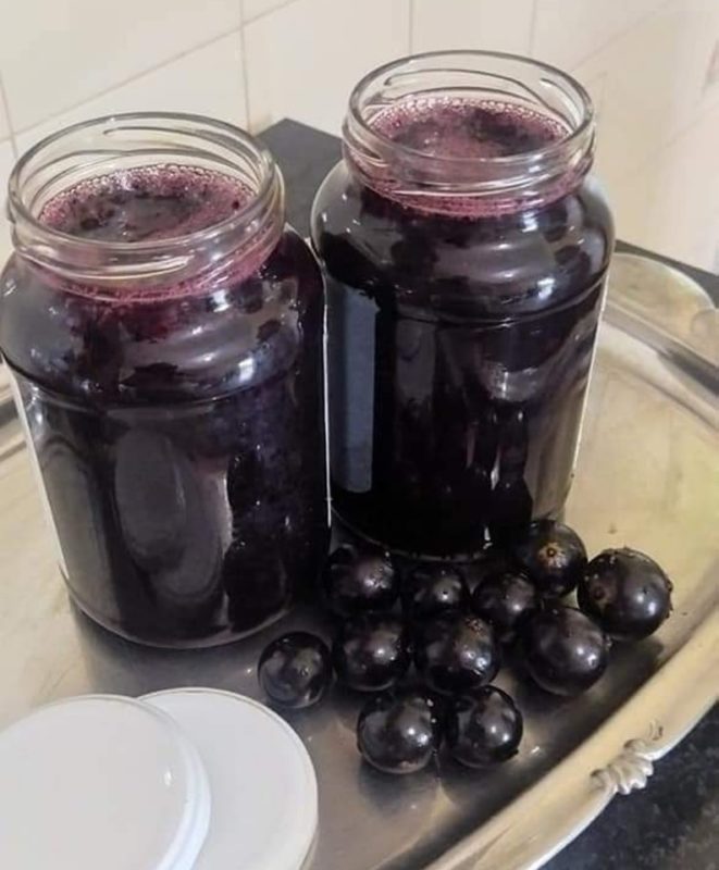 GELÉIA DE JABUTICABA! Vem ver esta maravilha