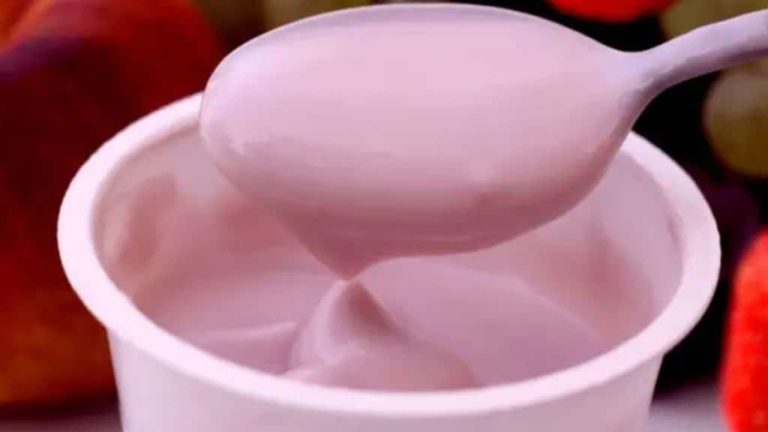 danoninho caseiro com gelatina