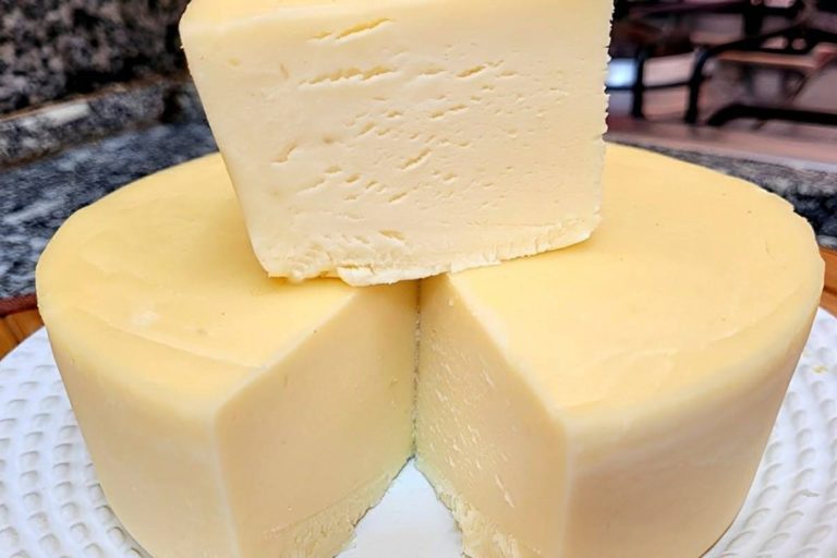 queijo caseiro com apenas 4 ingredientes