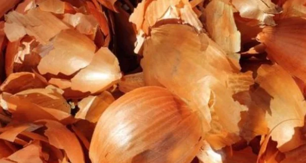 cebola, você não faz ideia de como elas podem ser úteis!