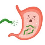bactéria h. pylori